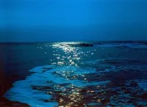 Чорне море – бомба уповільненої дії - НЛО море