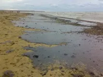 Чорне море – бомба уповільненої дії - НЛО море