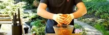 Чевапчичі 2 найкращі рецепти домашніх м’ясних ковбасок ясних