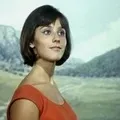 Цирк () 6 букв - пошук слів по масці та визначенню, відповіді на сканворди пошук