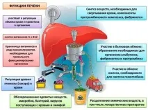 Що краще Резалют Про або Есенціал Форте Резалют