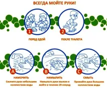 цикл