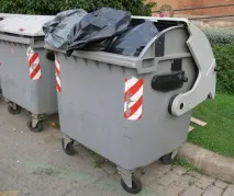 Дихлофос від клопів та правильне його застосування застосування