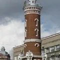 Дядьки степи - пошук слів за маскою та визначенням, відповіді на сканворди степи