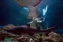русалочки