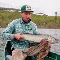 електронна