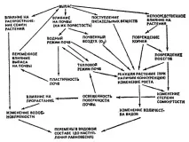 Природні луки та пасовища в агроекосистемах - Степановських А степановських