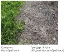 Гербіцид Грейдер - інструкція із застосування та витрата гербіцид