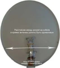антени