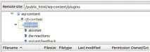 Структура вашого сайту на WordPress, WPNICE вашого