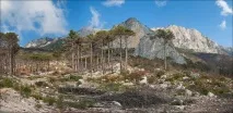 Гора Шаан-Кая (Алупка, Крим) рай альпіністів та роупджамперів гора