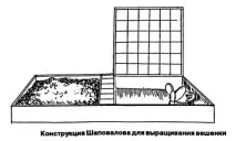 Гриби гливи вирощування в домашніх умовах вирощування