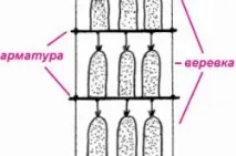 Гриби гливи вирощування в домашніх умовах гриби