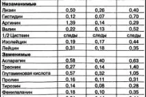 Гриби гливи вирощування в домашніх умовах гливи