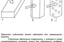 Гриби гливи вирощування в домашніх умовах гриби