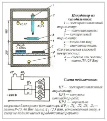 Інкубатор своїми руками з холодильника. своїми