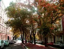 Історичний район Виногради – тихе місце у центрі чеської столиці історичний