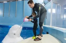 Як дельфіни лікують дітей, Наука та життя лікують