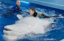 Як дельфіни лікують дітей, Наука та життя дельфіни