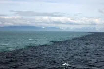 Які дві рідини ніколи не змішуються рідини