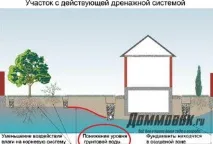 Як осушити ділянку,осушення ділянки осушити