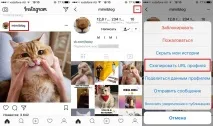 Як скопіювати посилання на фото або профіль у Instagram зiPhone, Guide-Apple скопіювати