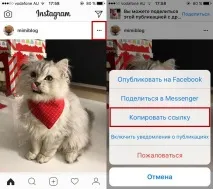 Як скопіювати посилання на фото або профіль у Instagram зiPhone, Guide-Apple посилання