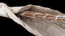Як укрити виноград на зиму – терміни, способи укриття, утеплення молодого винограду укрити