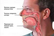 Таблетки Янувія інструкція із застосування та відгуки застосування