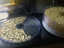 Як зберігати часник у міській квартирі. зберігати