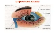 типологія