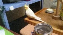 Коли ритм захоплює тебе ритм