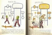 книга
