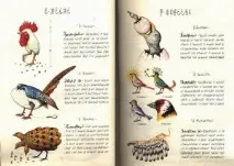 Codex