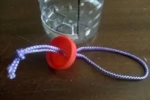 птахів