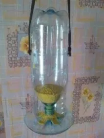 птахів
