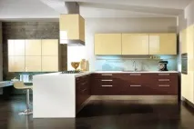 Гарні інтер’єри кухонь у бежево-коричневих тонах ( 40 фото) інтер