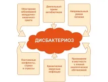 Лактобактерії та біфідобактерії навіщо вони потрібні для кишечника та шлунка, які захворювання викликає потрібні