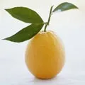 жіночий