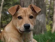 клініка
