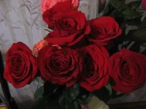 особиста