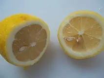Лимон із насіння, Танина дача насіння