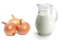 цибуля