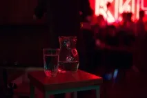 Літературне явище літературне