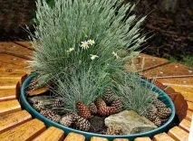 Маскування септика на маскування