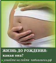 Тип Кільчасті черви черви
