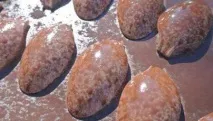 Майстер-клас ялинка із пластикових ложок своїми руками майстер-клас