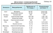 Маточник сливи в розпліднику маточник