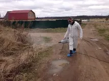 Медична допомога постраждалим від укусів кліщів у СПб кліщів