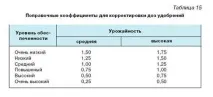 Маточник сливи в розпліднику розпліднику